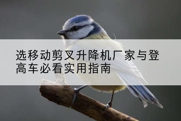 尚志电动升降机厂家-选移动剪叉升降机厂家与登高车必看实用指南