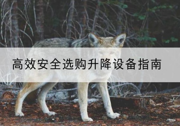 尚志升降货梯厂家推荐-*安全选购升降设备指南